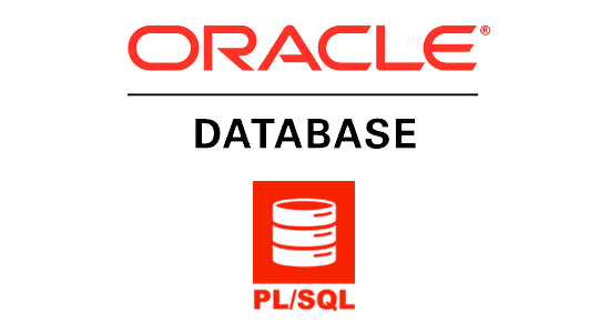  Oracle PL/SQL | Grade 12 Computer Programming (S.Y. 2023-24)