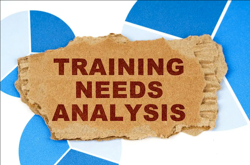 Training Needs Analysis - MSI