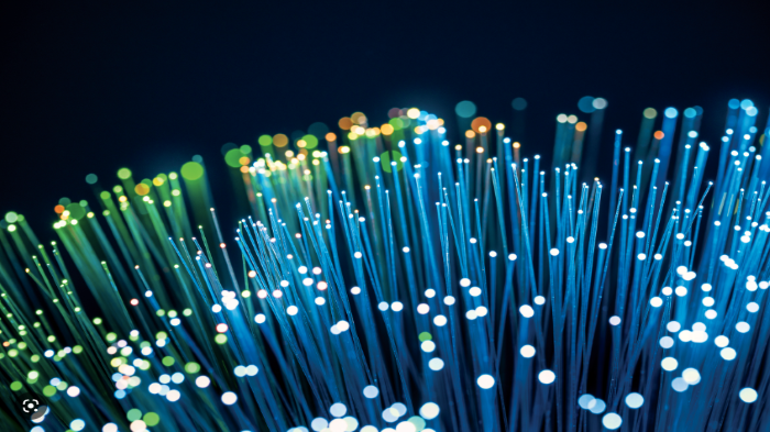 Fiber